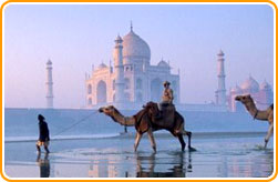  Taj in Agra